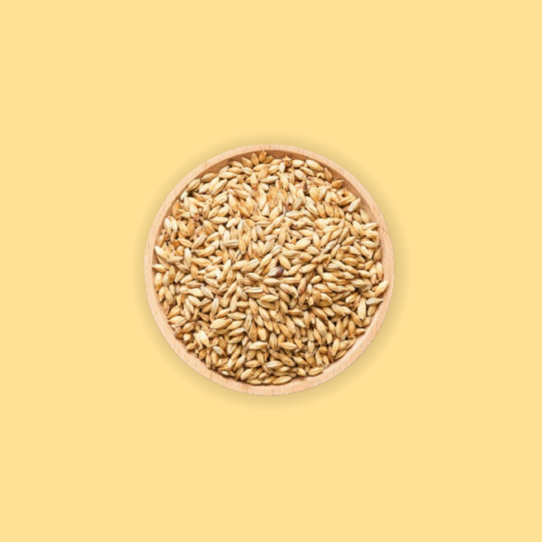 Organic Wheat