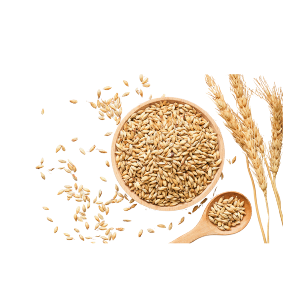 wheat2