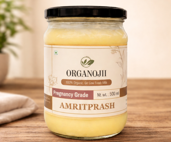 ChatGPT Image Jan 28, 2026, 03_14_08 PM