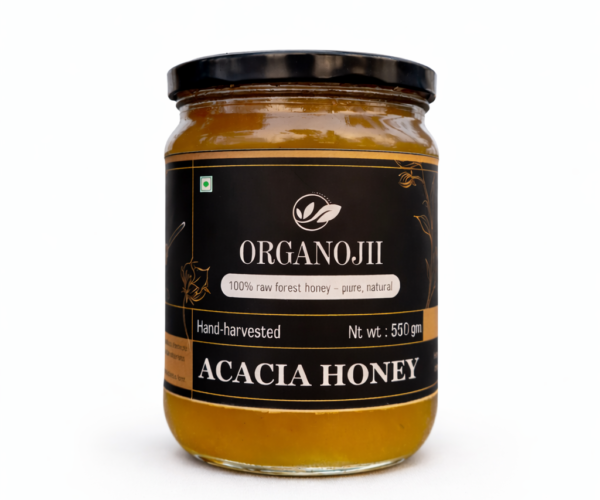 ChatGPT Image Jan 7, 2026, 05_11_03 PM