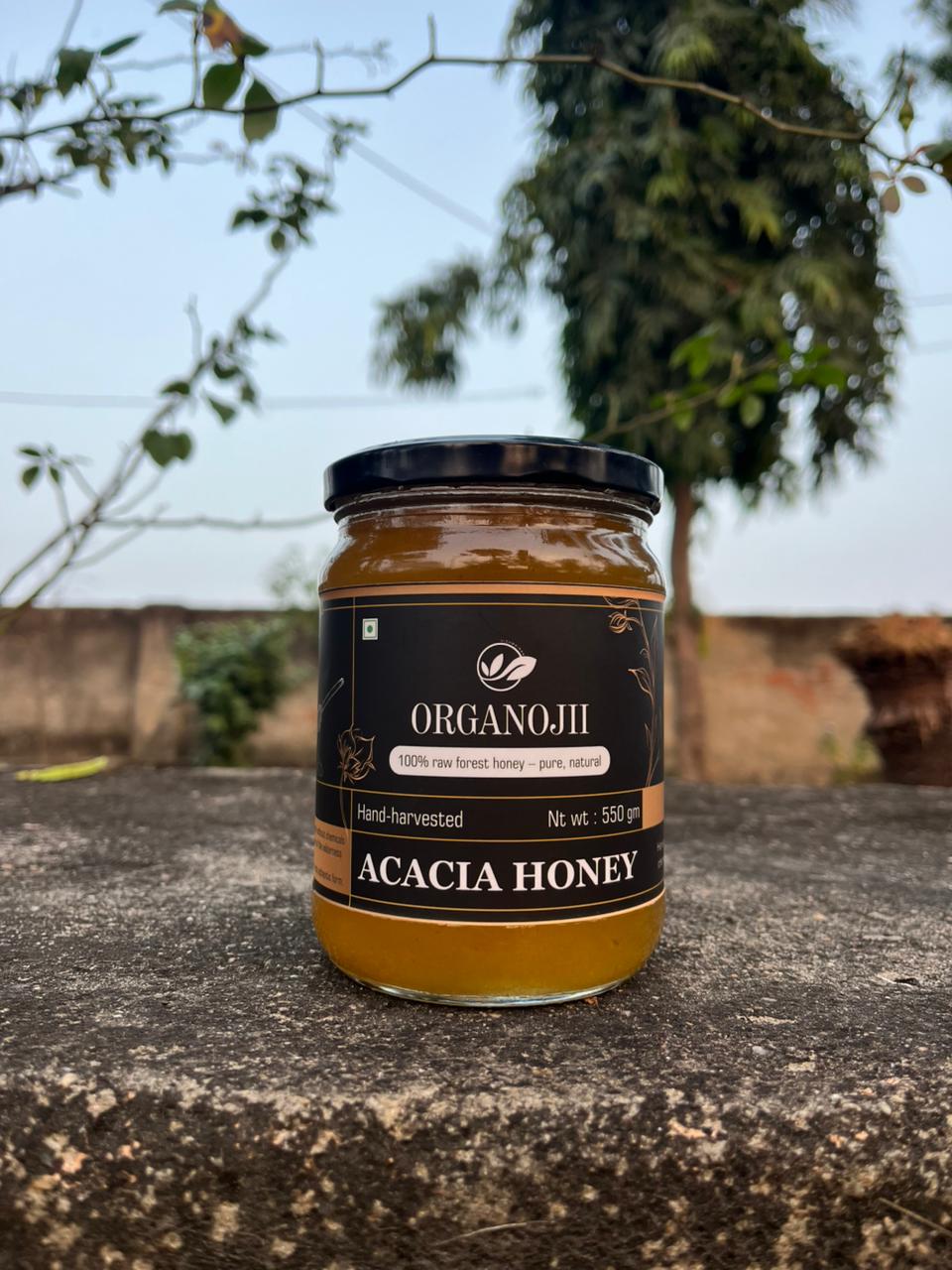 Acacia Honey - Image 4