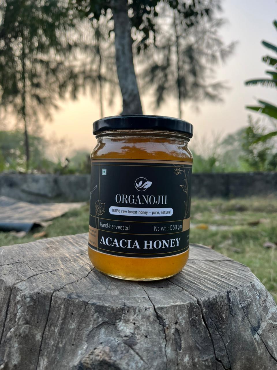 Acacia Honey - Image 5